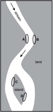 diagram of an overhead view of a stream