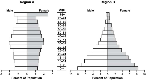 2 population pyramids, one for Region A and one for Region B