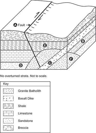 block diagram of a cross-section of several geological strata.