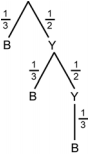 From the origin, 1 over 3 to B and 1 over 2 to Y.  From Y, 1 over 3 to B and 1 over 2 to Y.  From Y, 1 over 3 to B.  