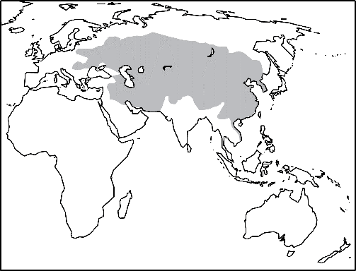 The map shows the continents of Europe, Asia, Africa, and Australia. There is a shaded area extending from Eastern Europe to the Pacific Ocean. It covers approximately the southern 2 thirds of the land mass in between, excluding the Indian peninsula.
