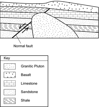 cross-section of a geological formation
